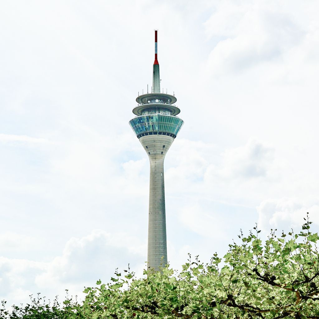 Fernsehturm in Düsseldorf mit grünem Baum im Vordergrund